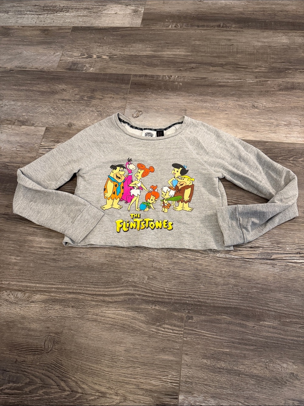 Forever 21 The Flintstones Graphic Crop Sweatshirt - Gray